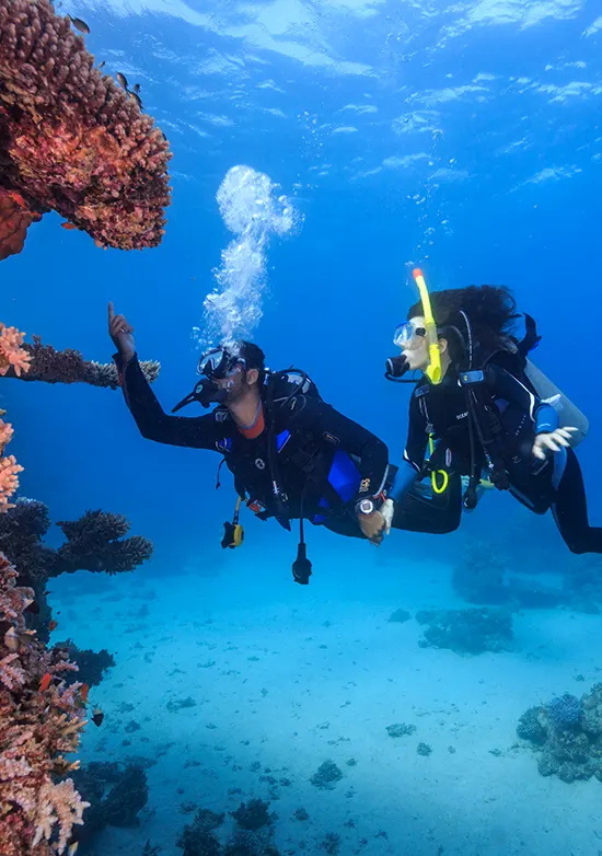 Plongee sous-marine