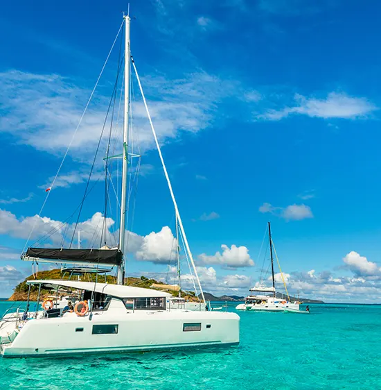 Sorties en catamaran